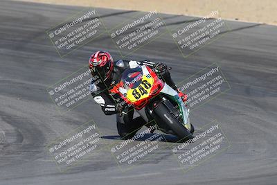 media/Dec-15-2023-Apex Assassins (Fri) [[91f19fb1c7]]/Trackday 1/Session 3 (Turn 10)/